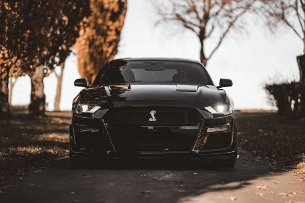 Ripper Kazino Android/iOS Lietotne